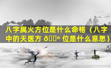 八字属火方位是什么命格（八字中的天医方 🐺 位是什么意思）